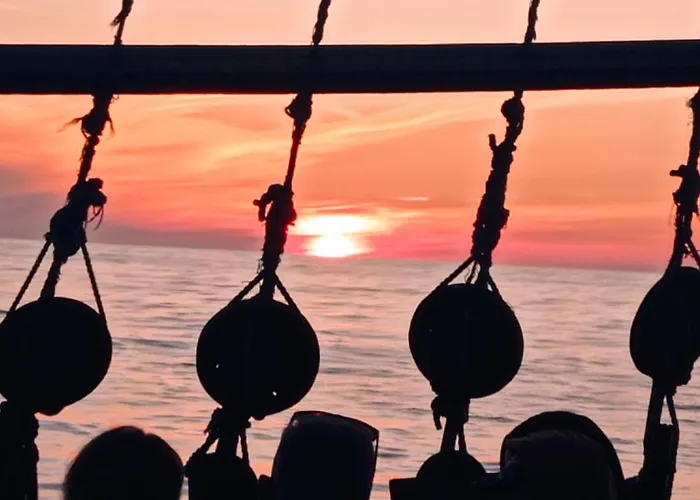 ホリデーパーク Michola ダルウォボ